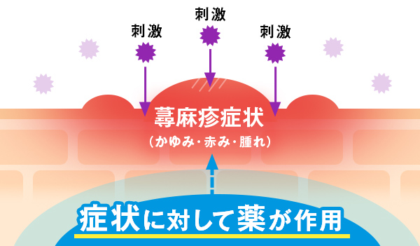 塗り薬・一般的な飲み薬の作用についての図