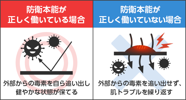 ◎防衛反応が正しく働いている場合→外部からの毒素を自ら追い出し健やかな状態が保てる✖防衛反応が正しく働いていない場合→外部からの毒素を追い出せず、肌トラブルを繰り返す